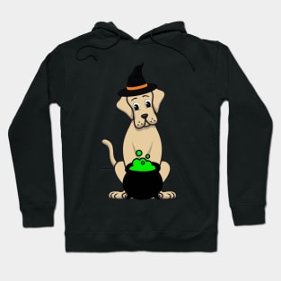 Funny Big Dog is wearing a witch costume Hoodie